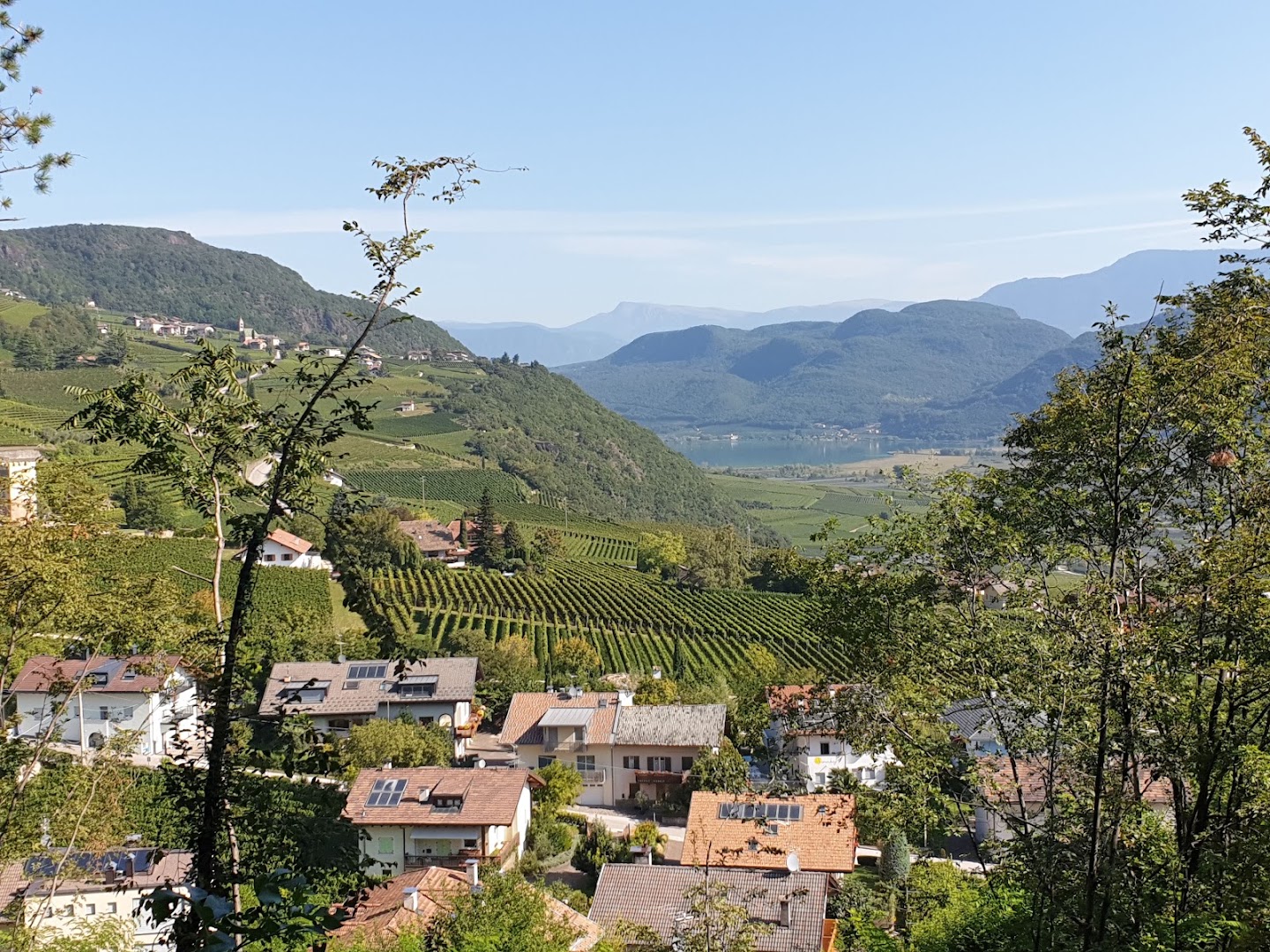 Bar Zum Goldenen Löwen