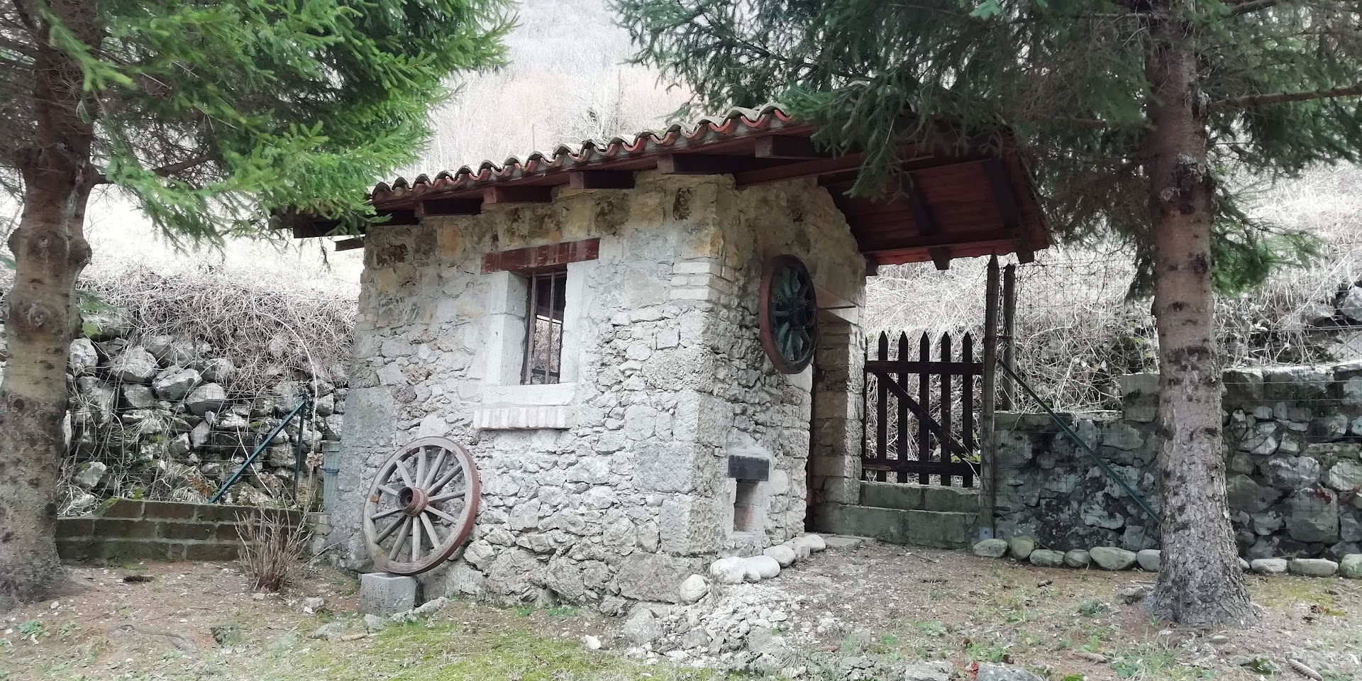 Barbeadis