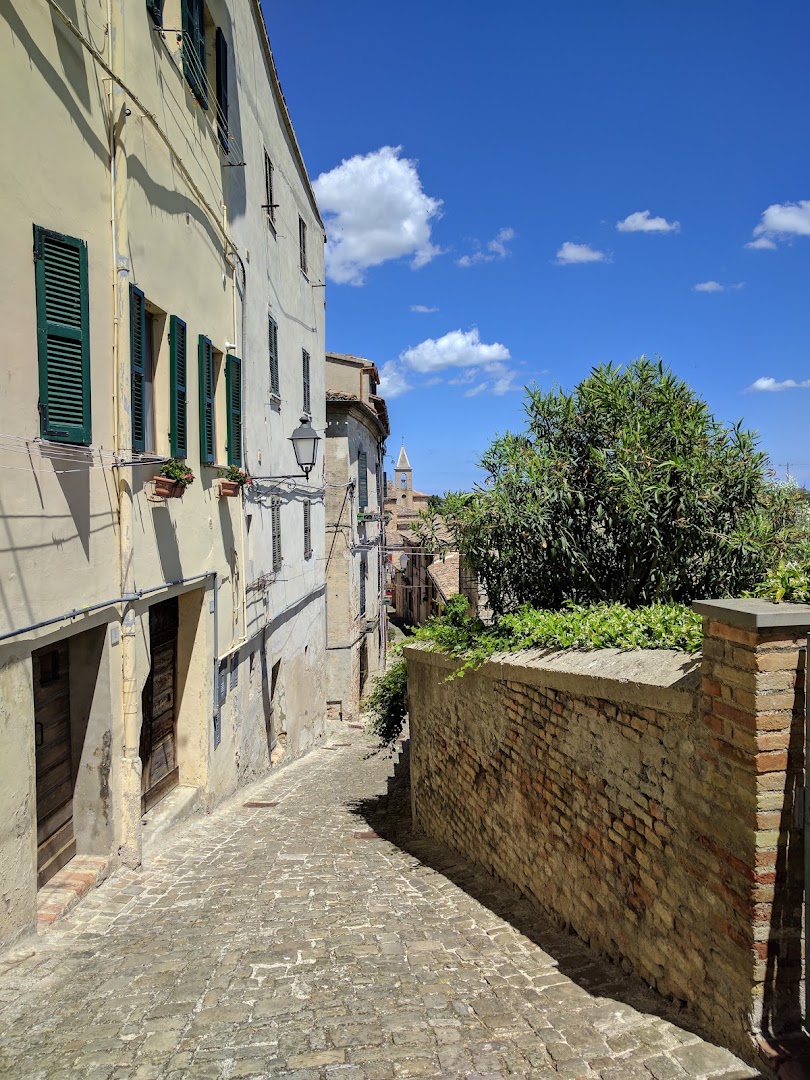 Barchiesi Sas, Ostra