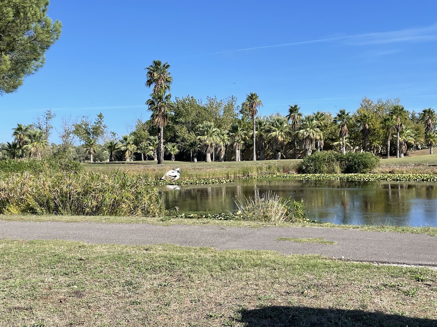 Barialto Golf, Casamassima