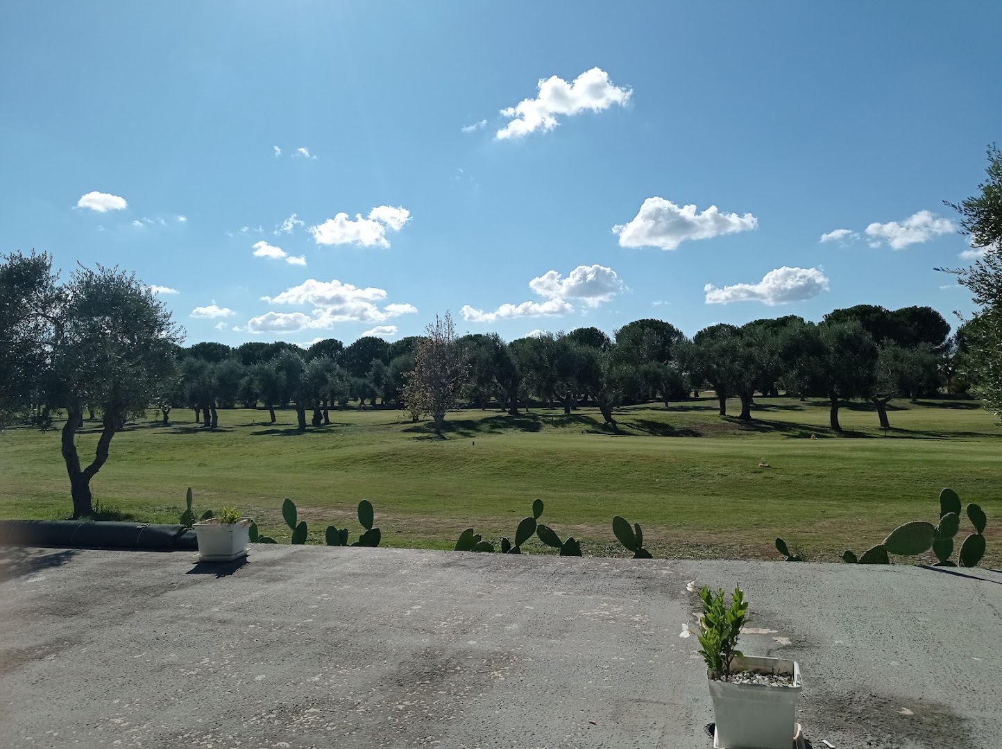 Barialto Golf