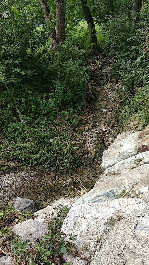 Barni (co)