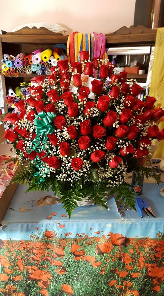 Barone Piante e Fiori Bagheria