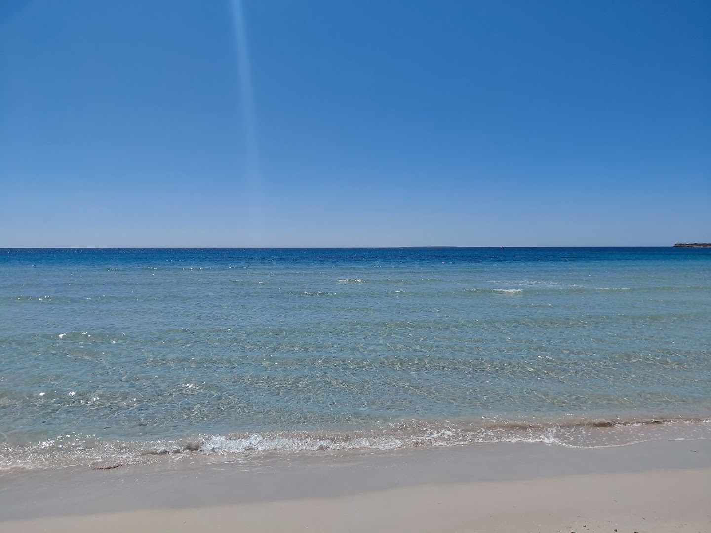 Barracuda beach
