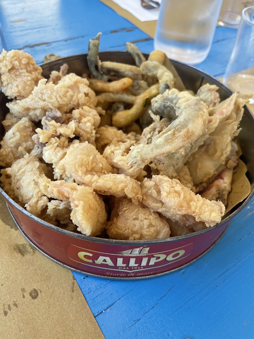 Barracuda