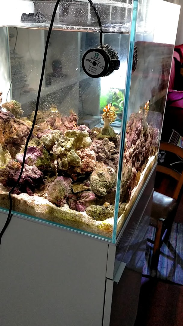 Barriera Corallina