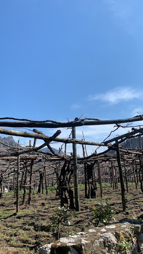 Basileo Vini, Tramonti