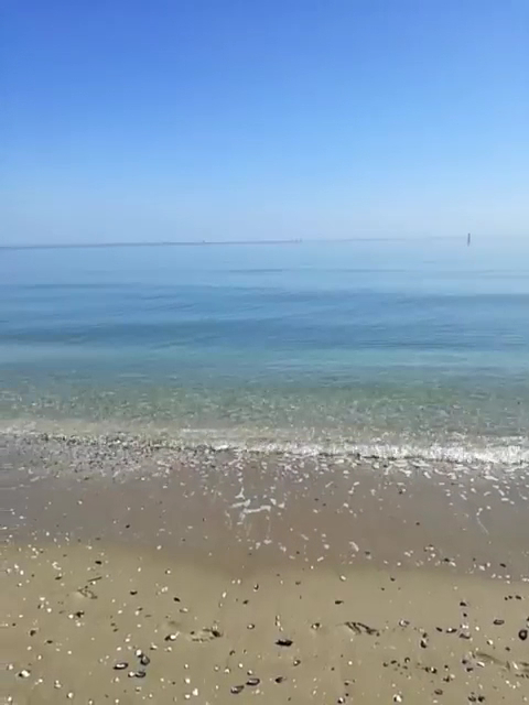 BBK Disco & Beach