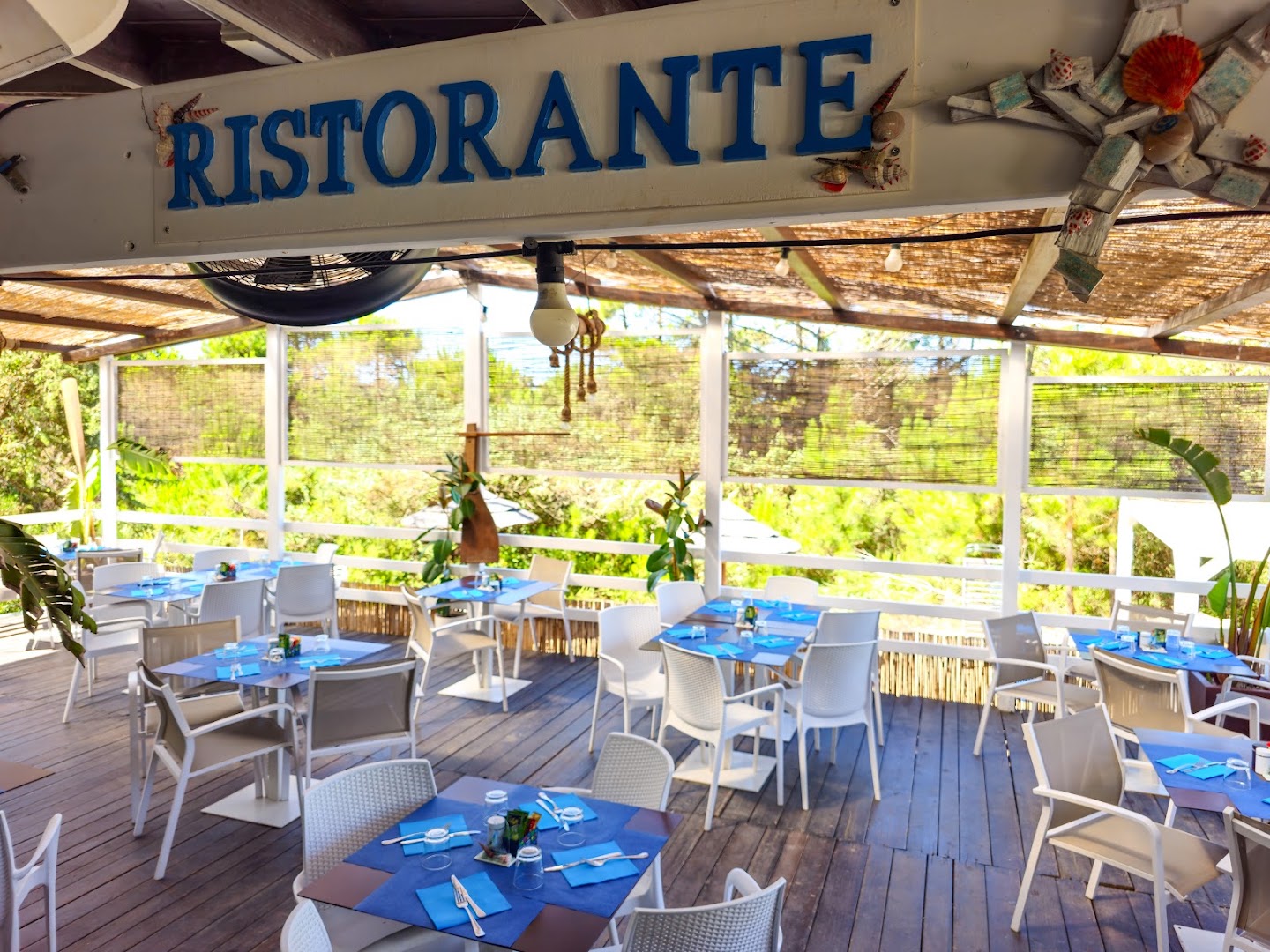 Beach bar e ristorante Corsaro - Delfinus