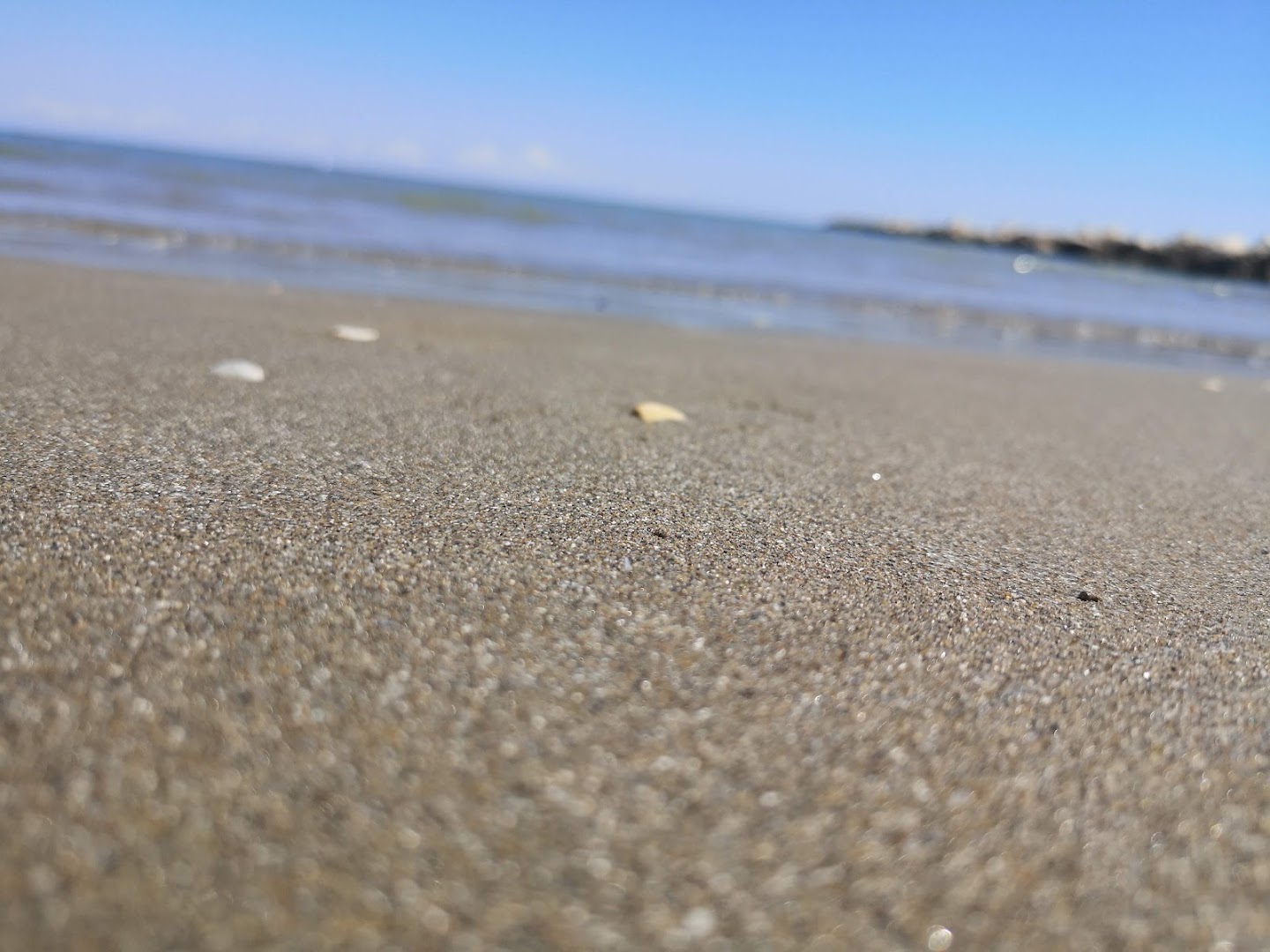 beach Marconi