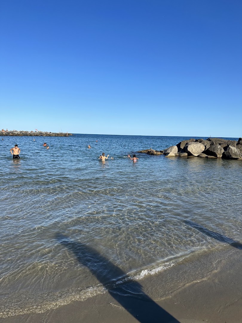 Beach Oasis