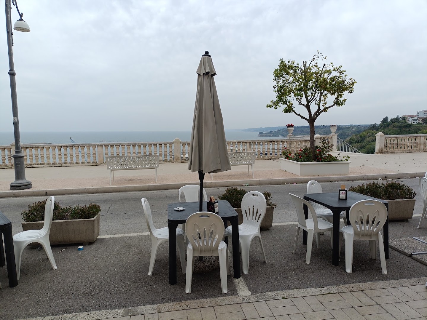 Belvedere Bar yogurteria yogold