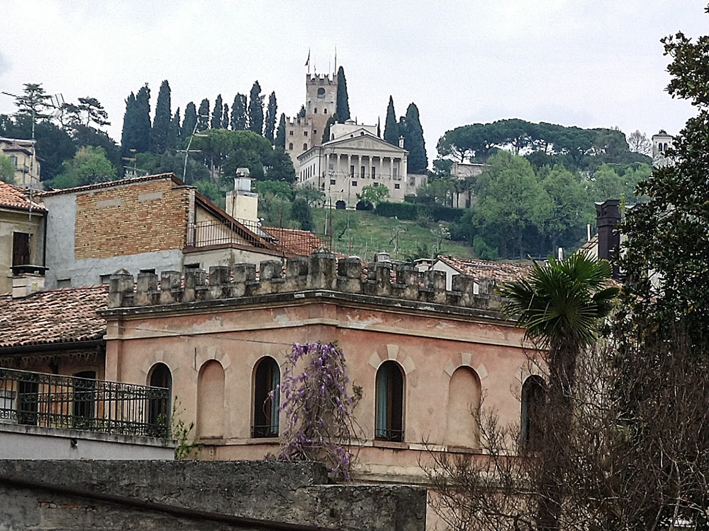 Belvedere Conegliano, Conegliano