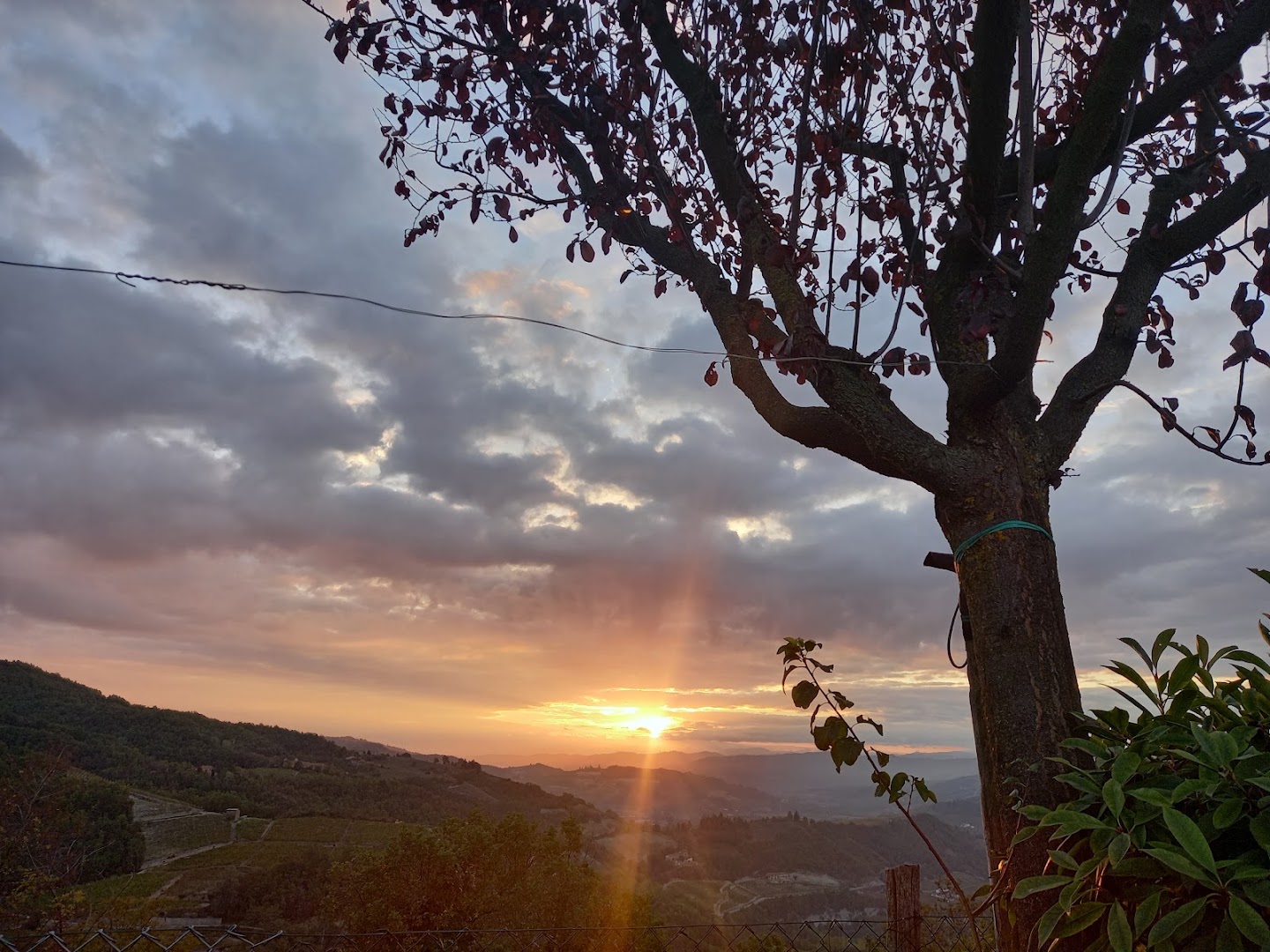 Belvedere di Loazzolo, Loazzolo