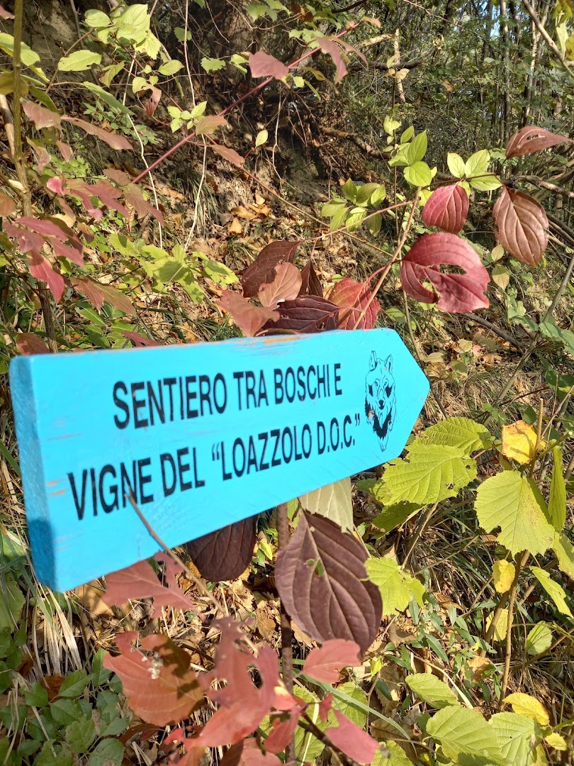Belvedere di Loazzolo