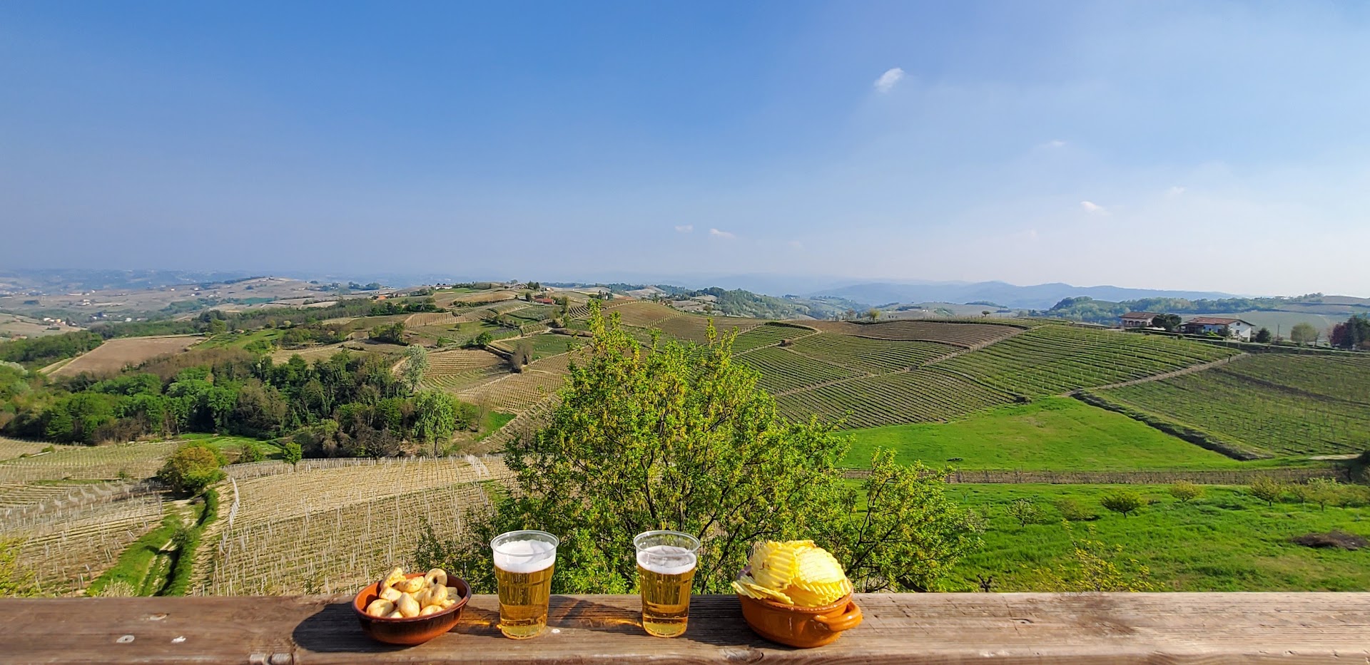 Belvedere di Ricaldone