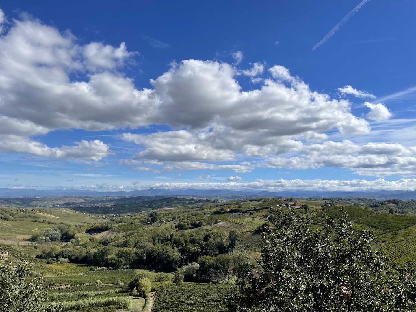 Belvedere di Ricaldone