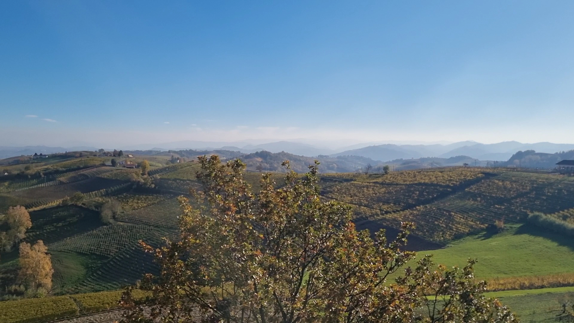 Belvedere di Ricaldone