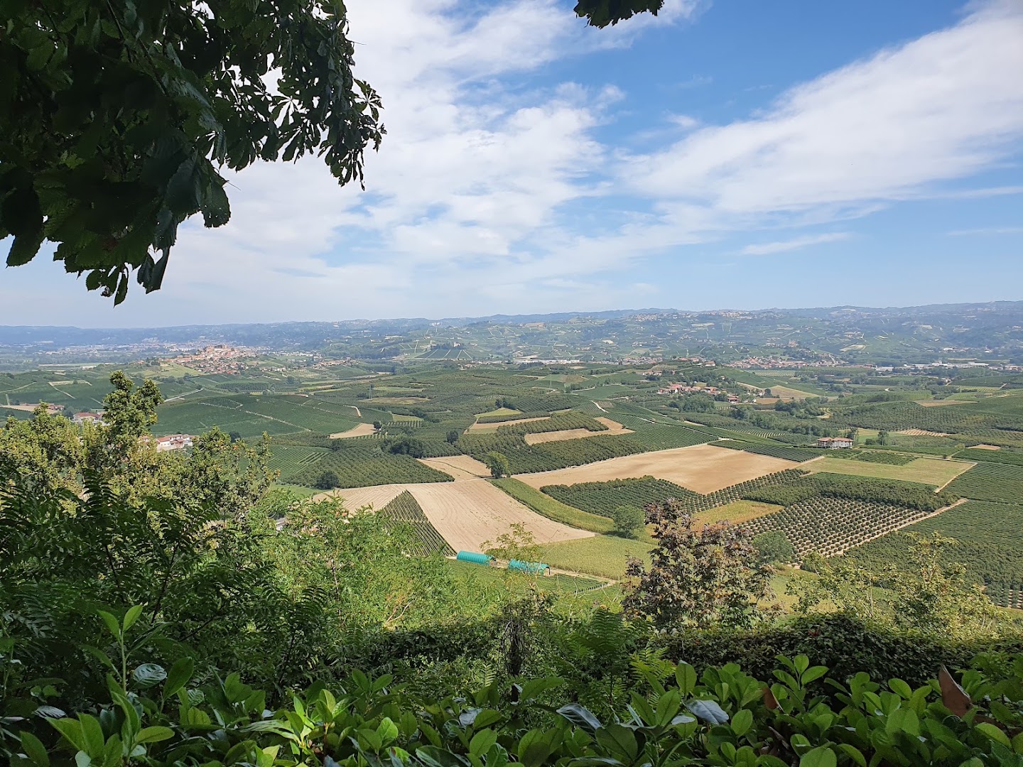 Belvedere di Verduno