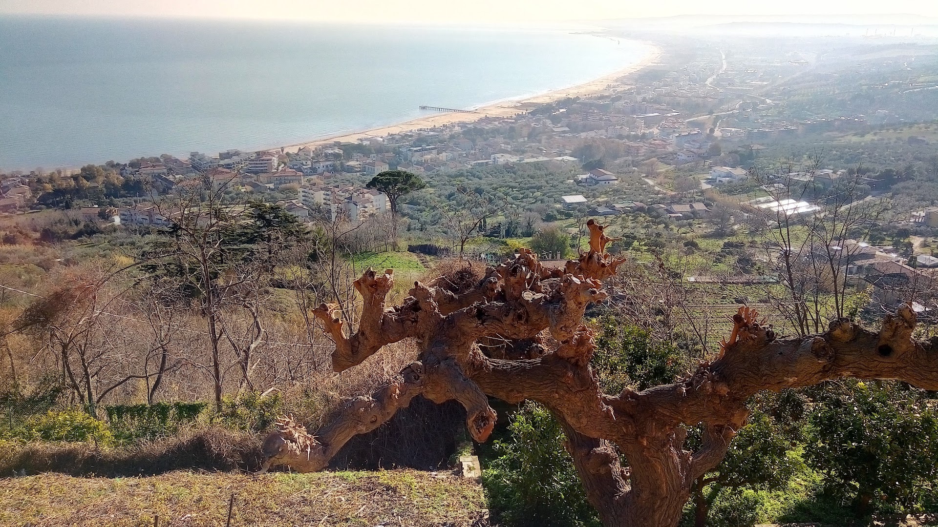 Belvedere San Michele
