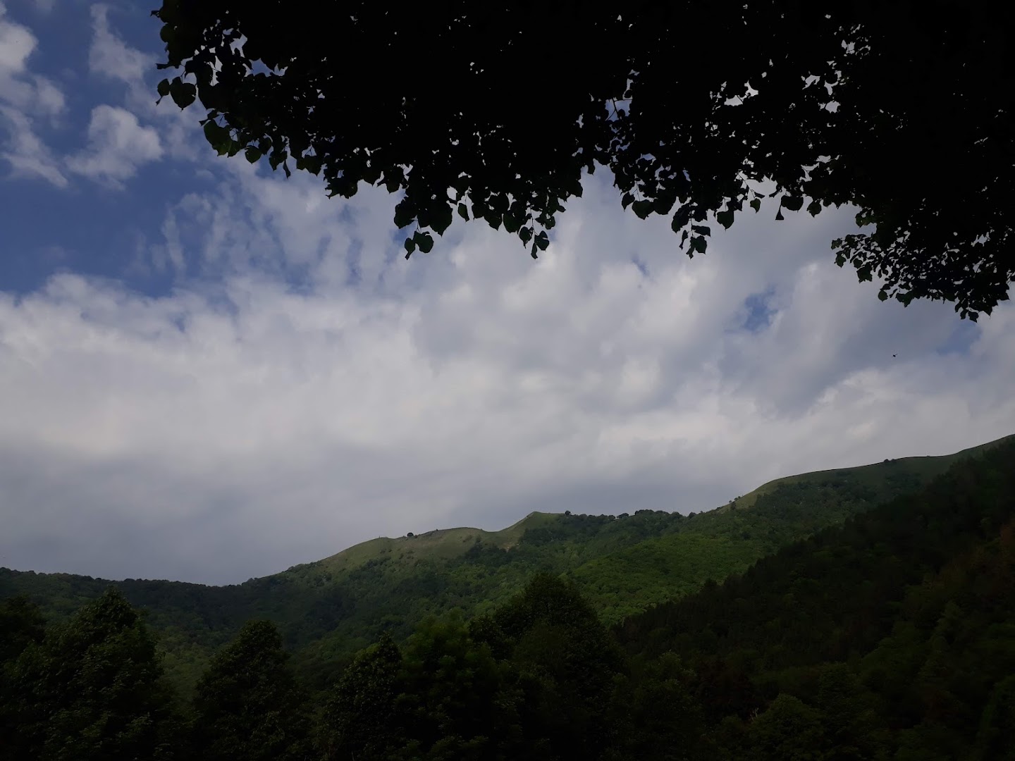 Belvedere Segantini