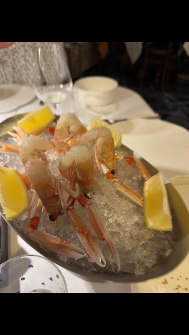 Benso | Ristorante di Pesce a Bologna