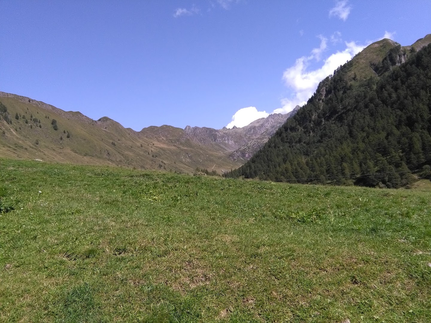 Beri Formaggi Valsassina, Primaluna