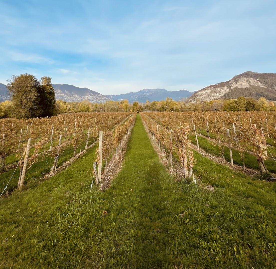 Bersi Serlini Franciacorta