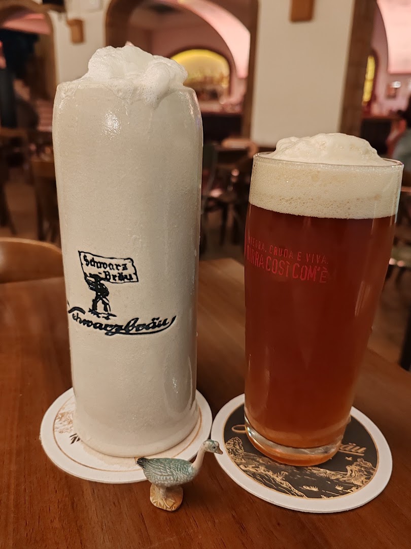 Bert Pub, Carpi