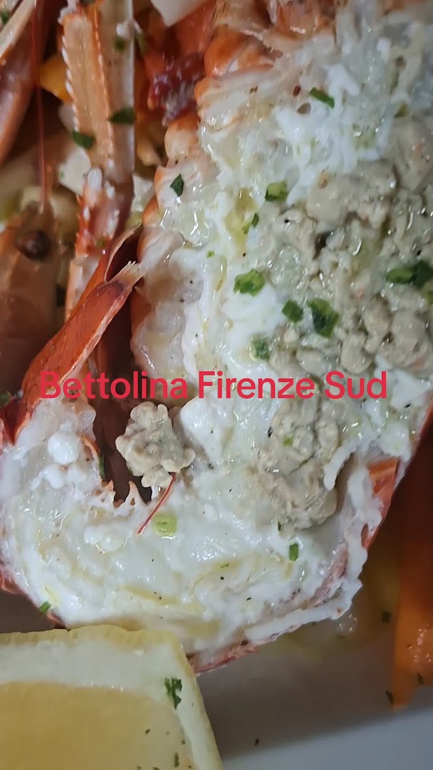 Bettolina Firenze sud