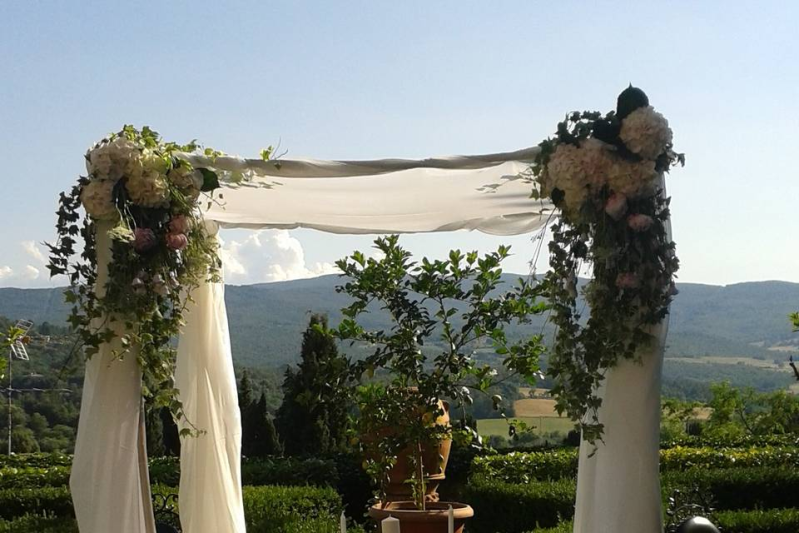 Bianchi Fiori e Piante