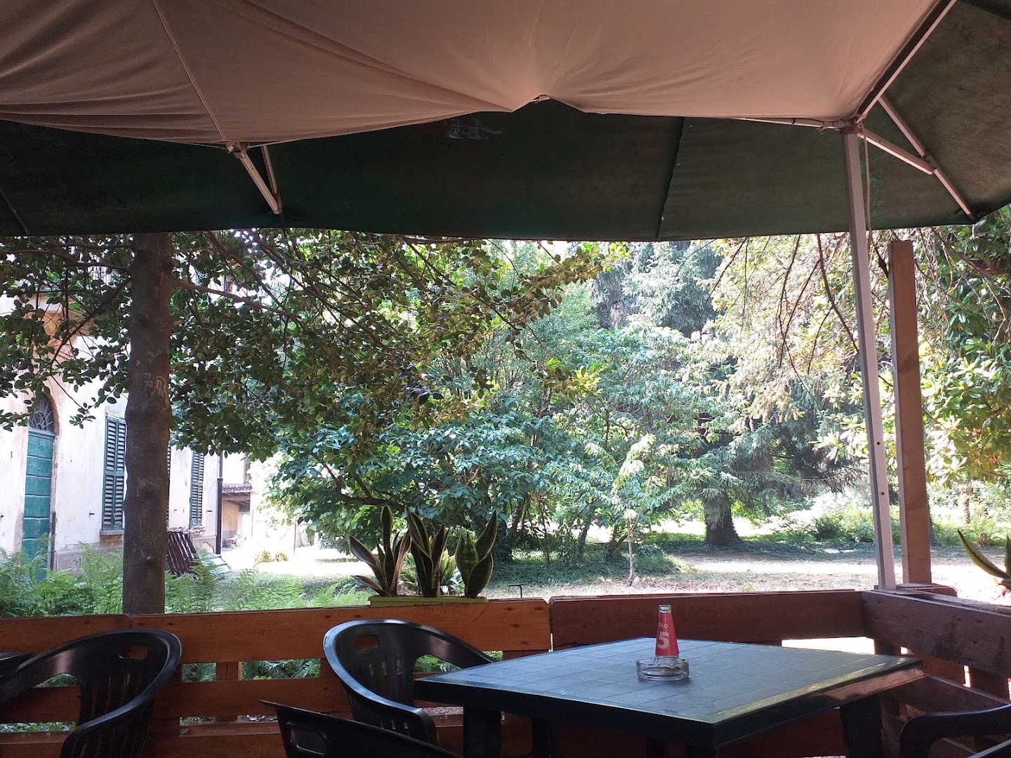 Binfa Cafè