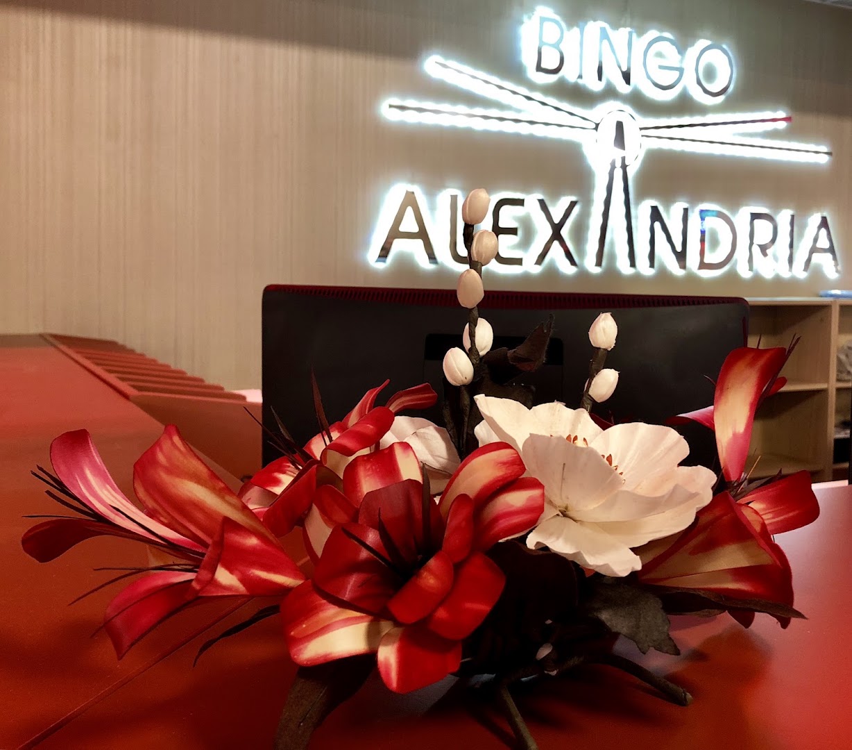 Bingo Alexandria