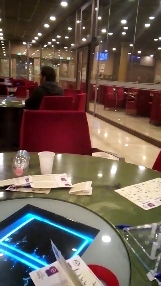 Bingo Family