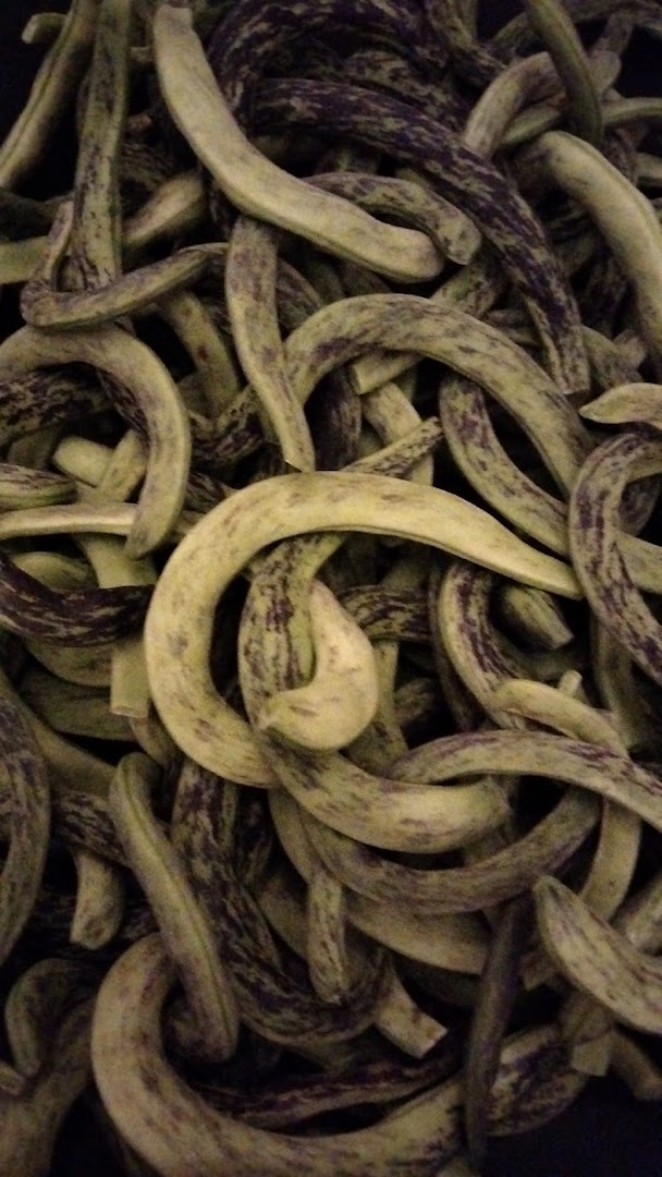 Biocesta del Gusto