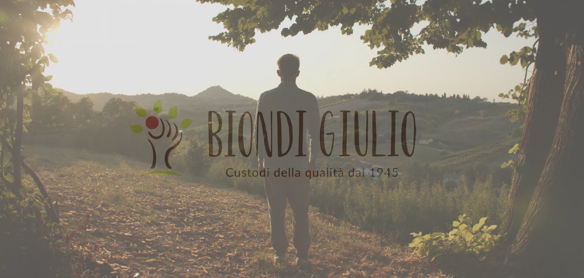 Biondi Giulio s.r.l. (negozio)