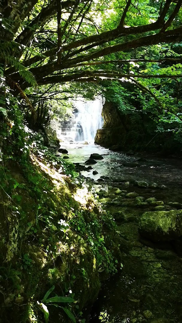 Bioparco di Montella, Montella