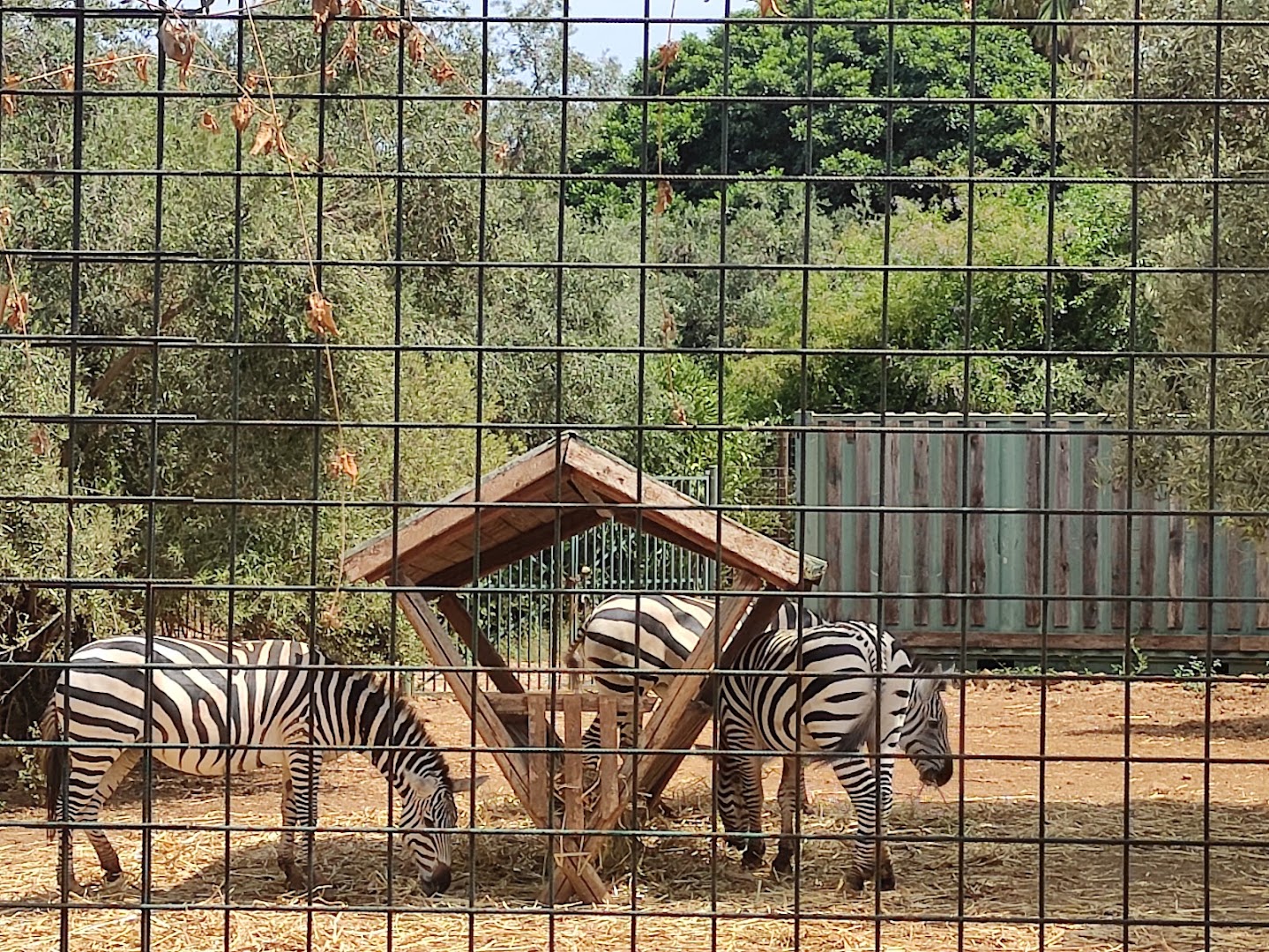 Bioparco di Sicilia