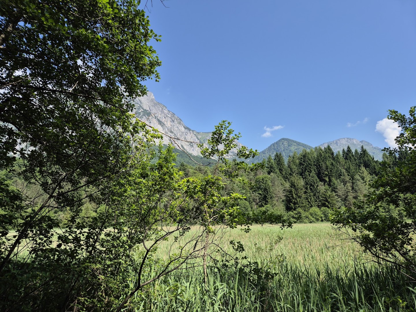 Biòtopo di Cima Corso