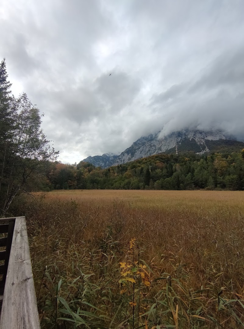 Biòtopo di Cima Corso