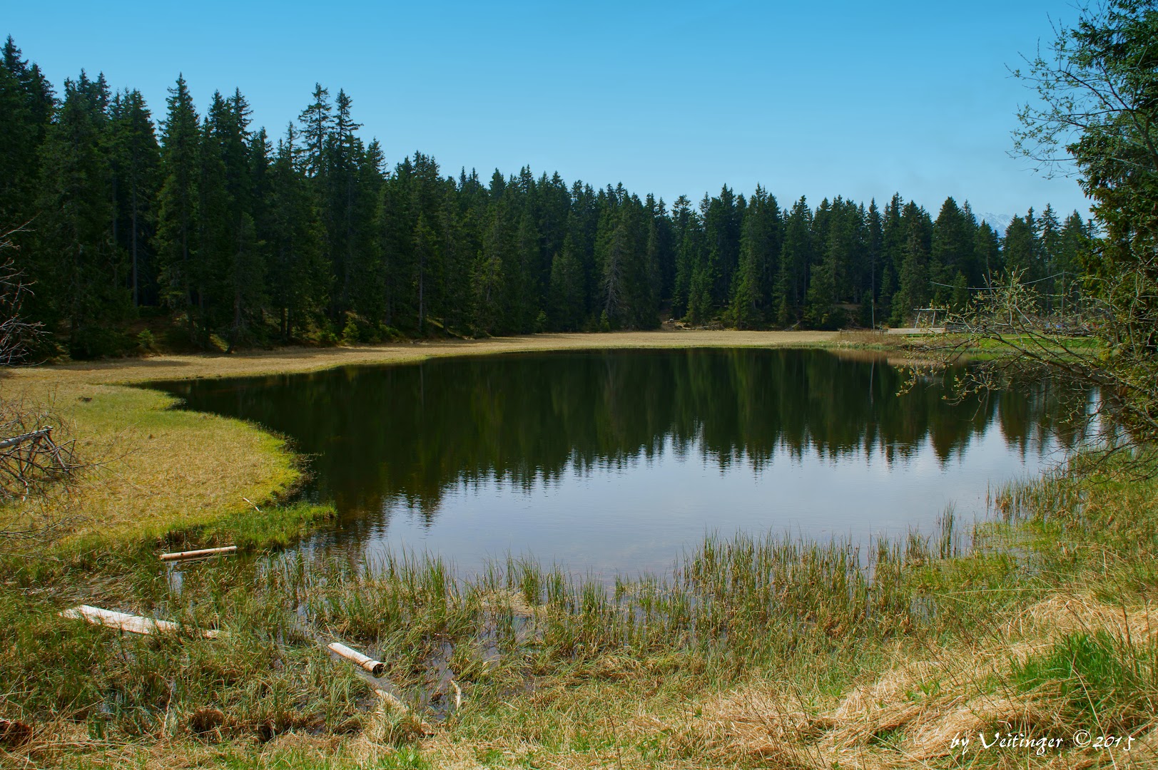 Biotopo Lago Nero