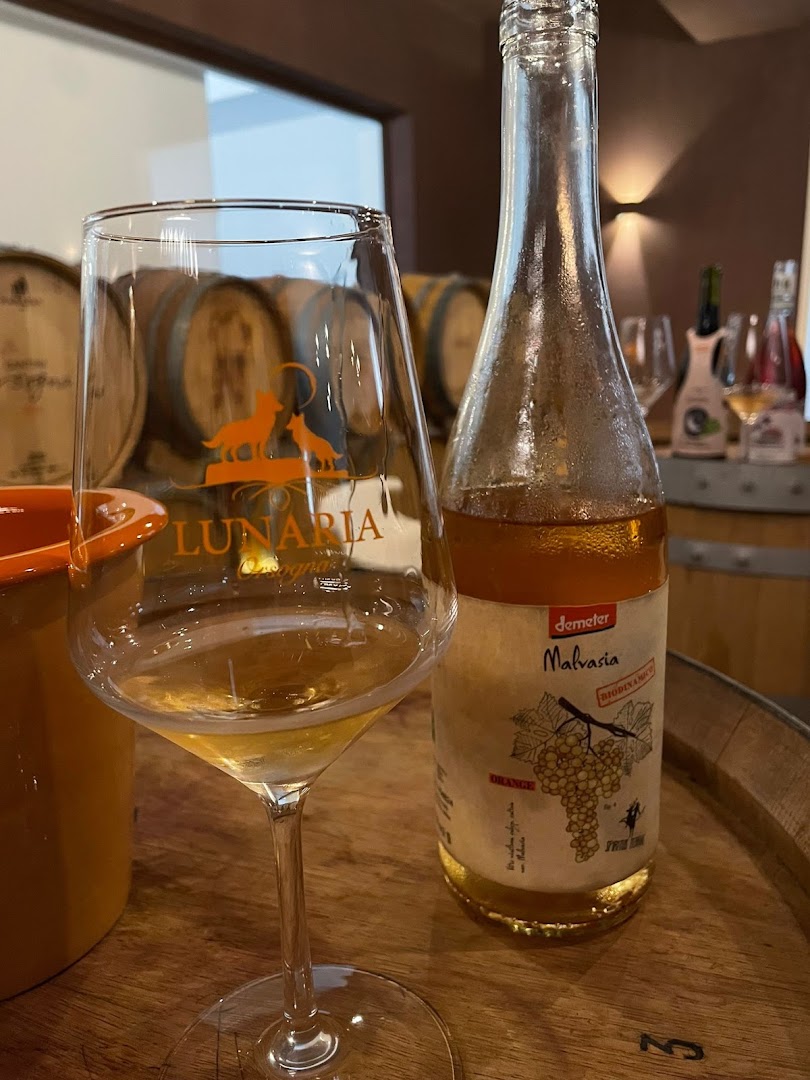 BIOVINERIA Riv. 1 ORSOGNA