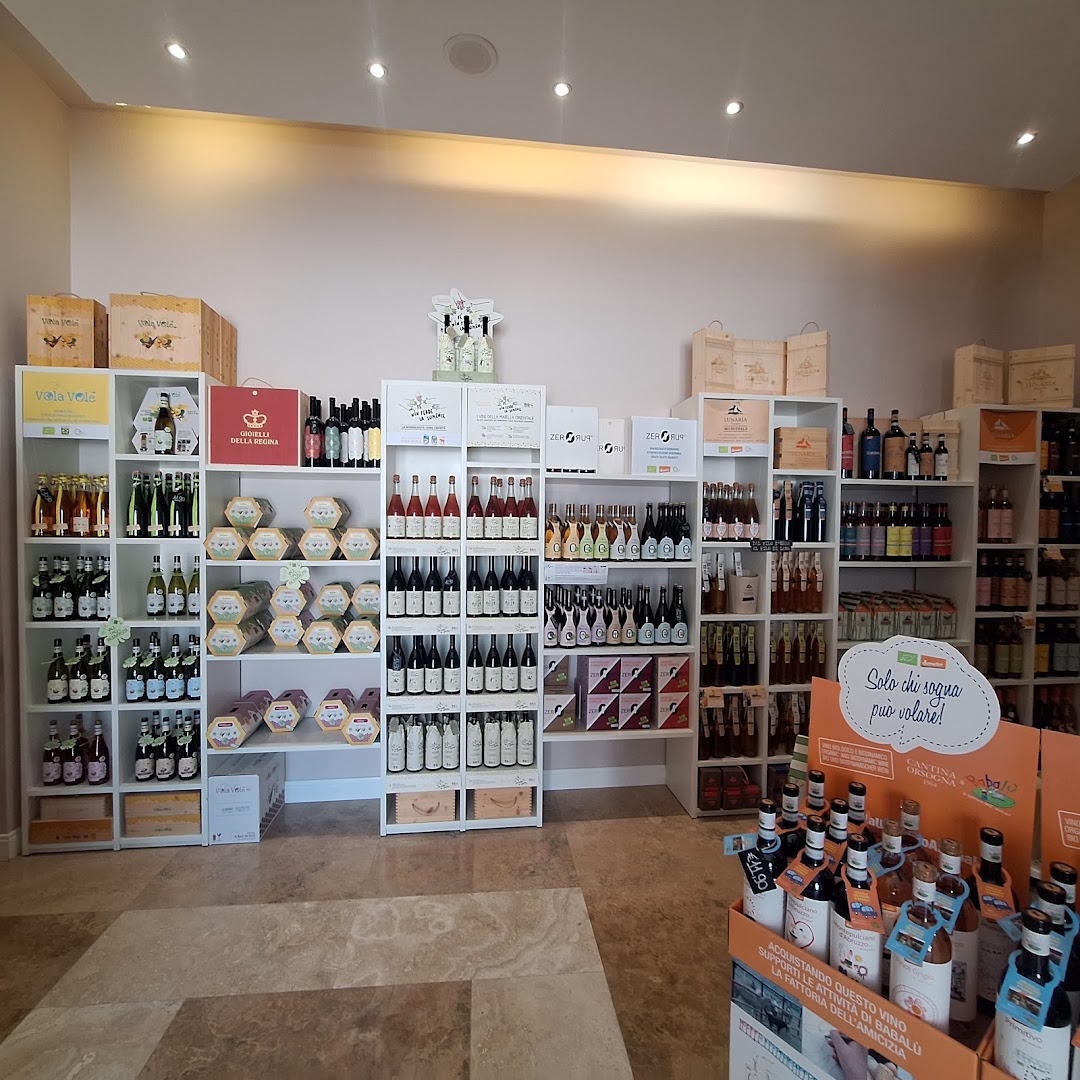 BIOVINERIA Riv. 1 ORSOGNA