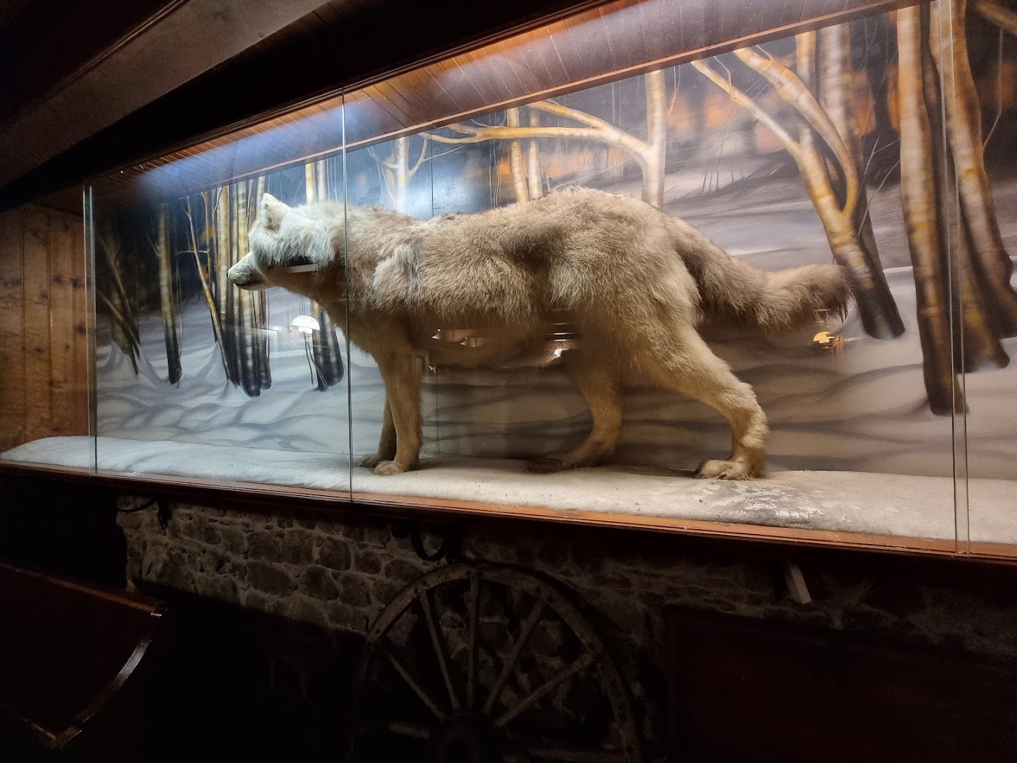 Birreria & Steakhouse Old West