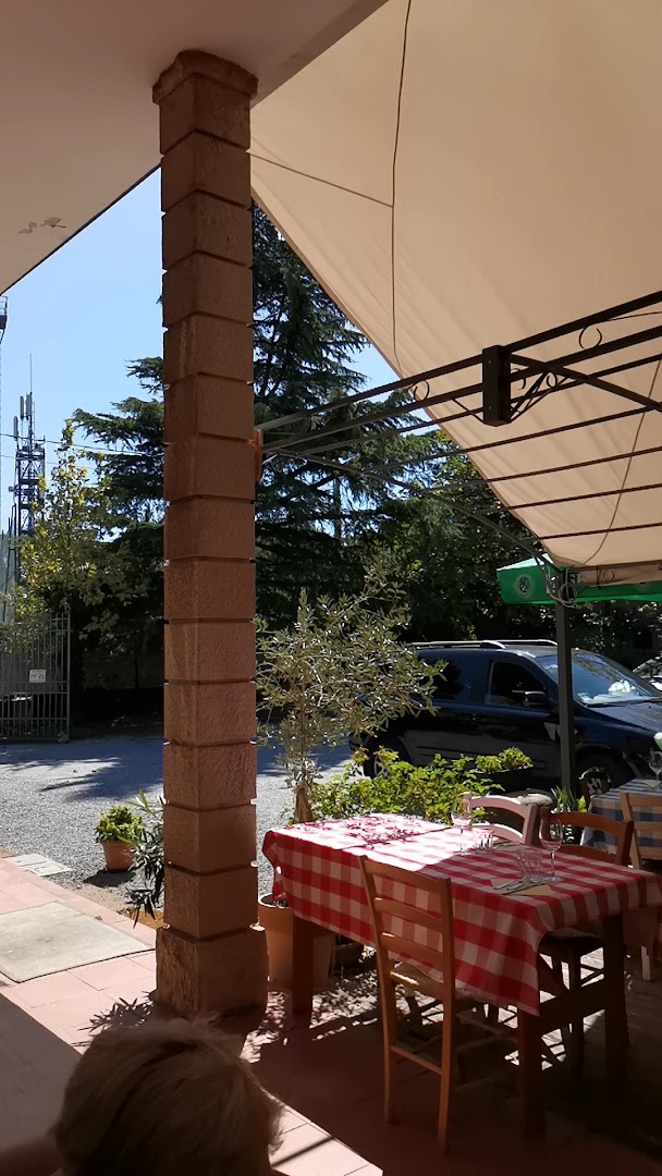 Bita, Trieste