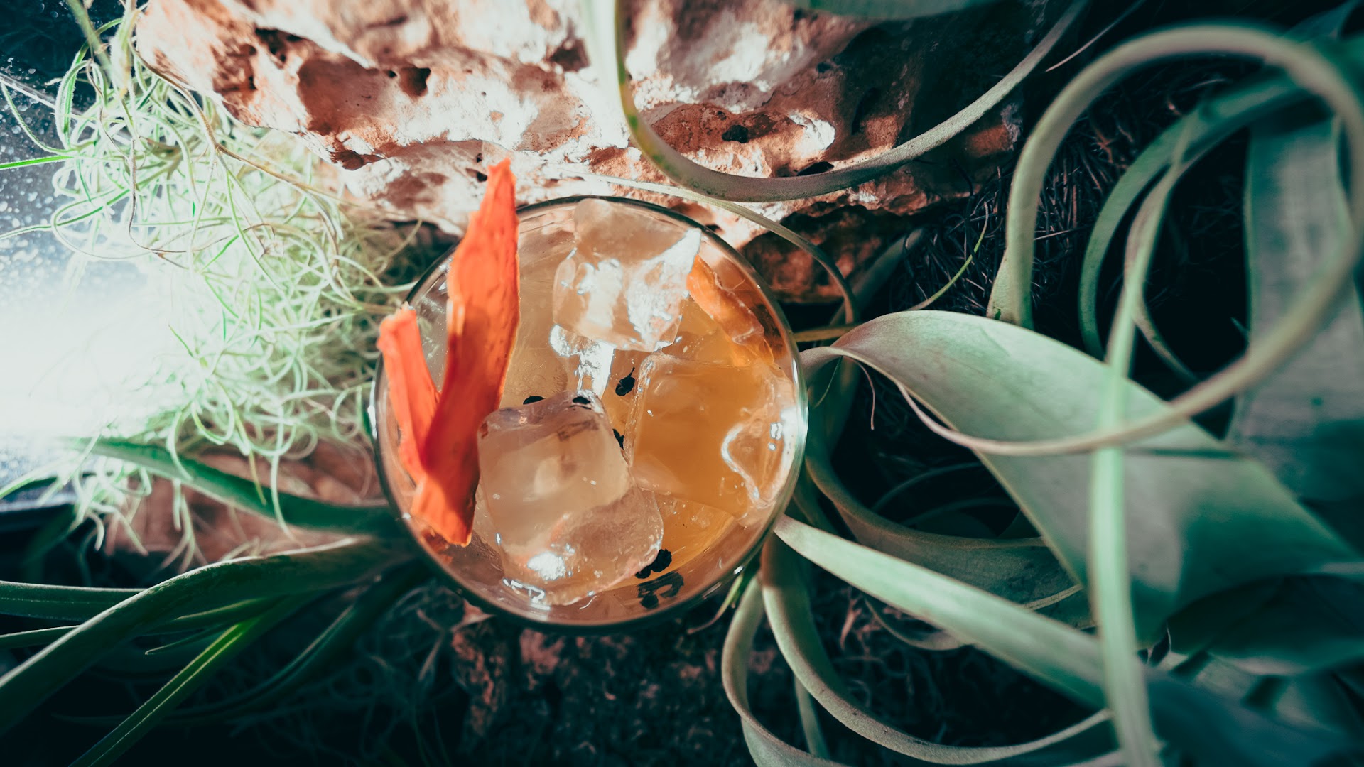 Blend Food&Drink