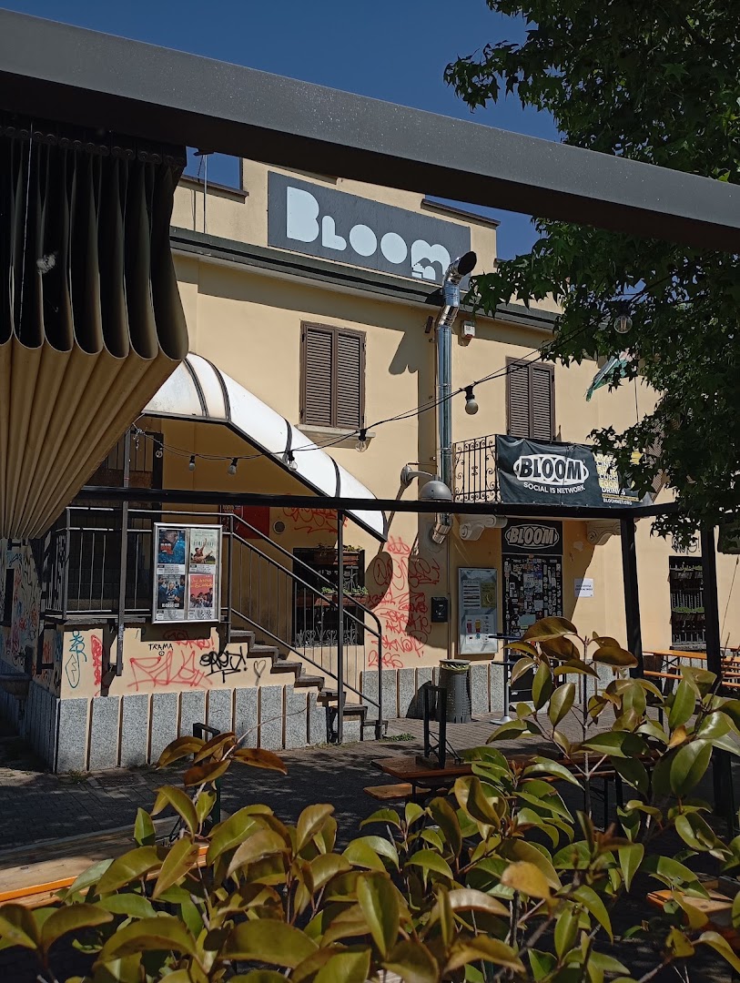 Bloom Food and Beer