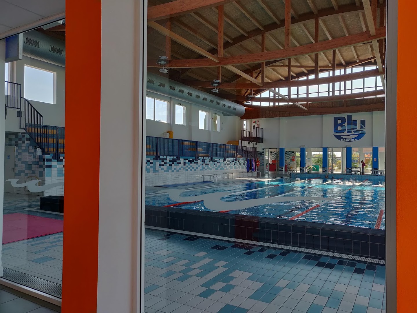 Blu Pandino