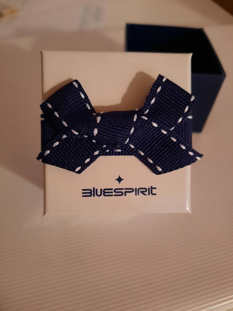 Bluespirit Vittuone