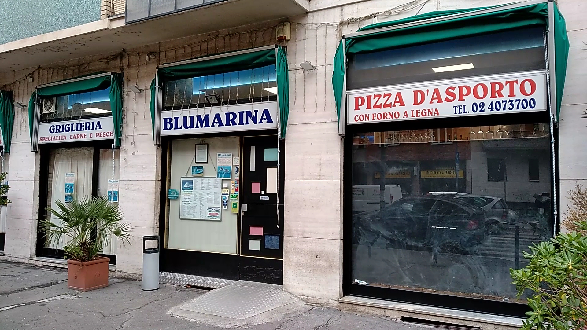 Blumarina
